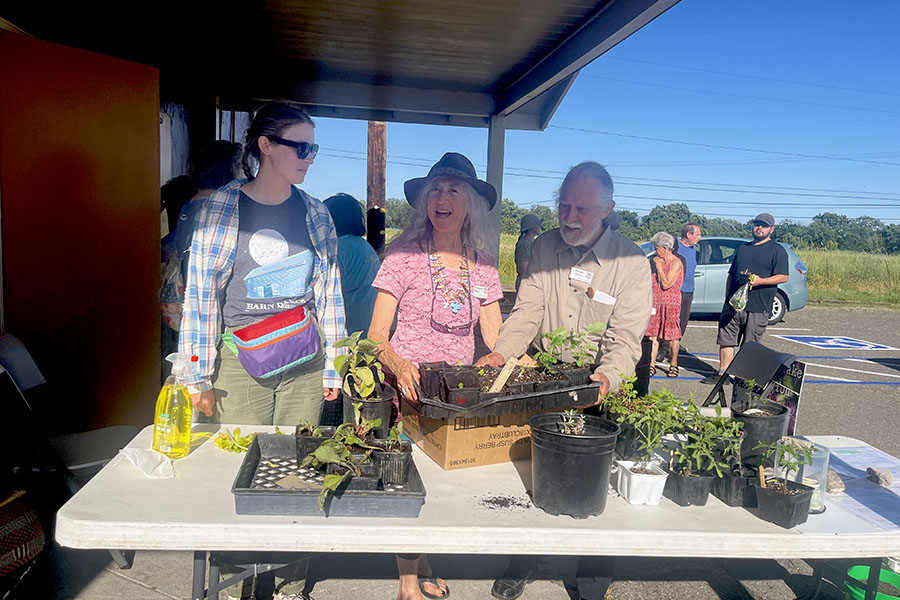 Sebastopol Grange Gardeners Produce Exchange May 2024