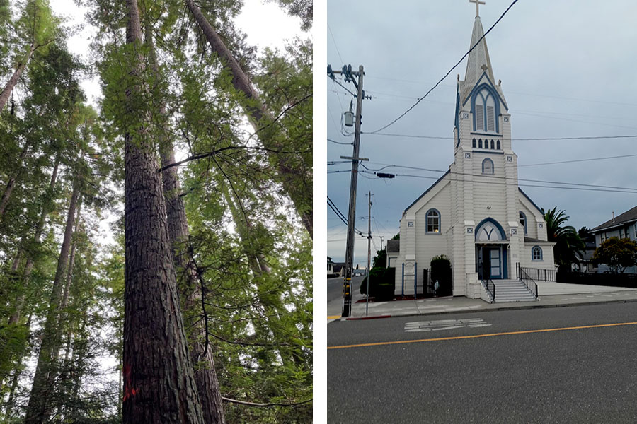 Redwood-church Redwood and church in Humboldt County.